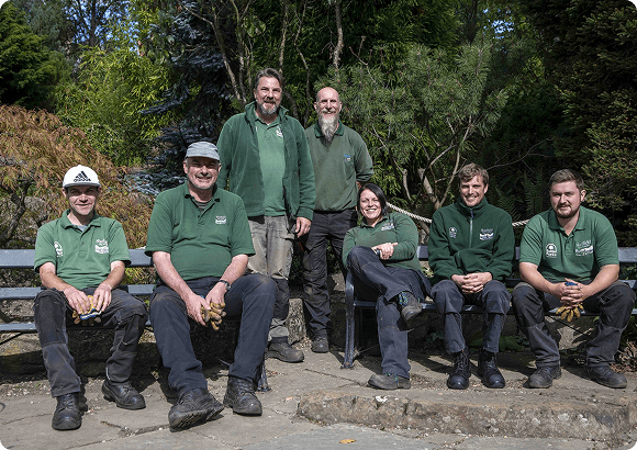 our team
